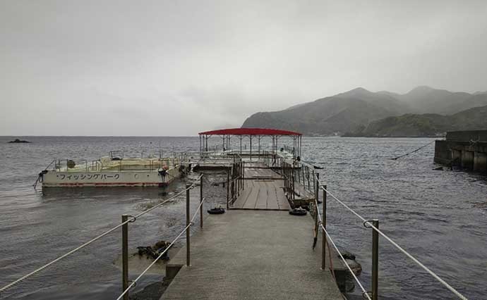 海上釣り堀で夫婦釣行満喫　急な予定変更も手ぶらでマダイなど充実釣果