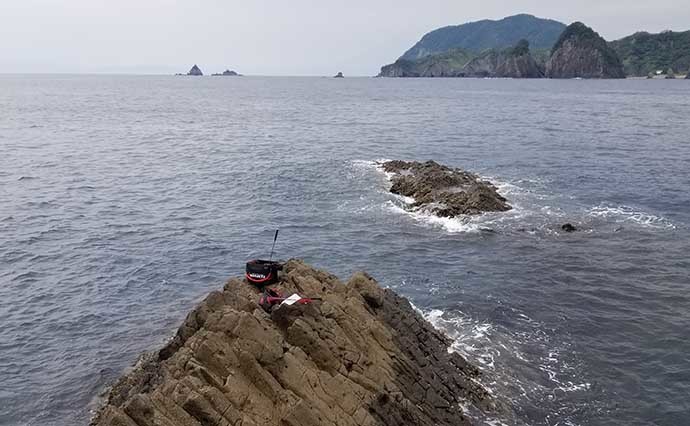 磯フカセ釣りで38cm頭にメジナ好釣　小サバ不在で肩透かし？【静岡】