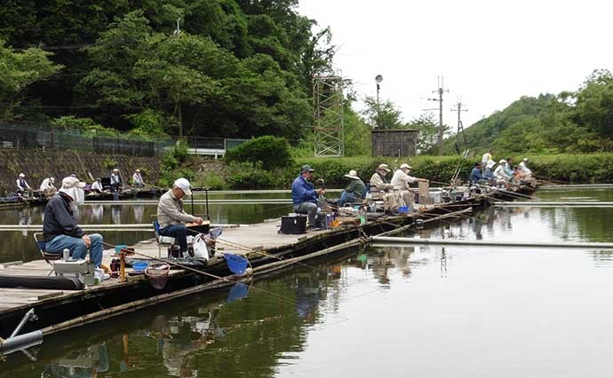 初夏のヘラブナ釣り堪能　エサ決まると良型連発【大阪・FC竹の内】