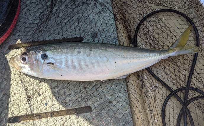 夫婦水入らずで過ごす「釣り休日」 2馬力ボートでマダイ手中【静岡】