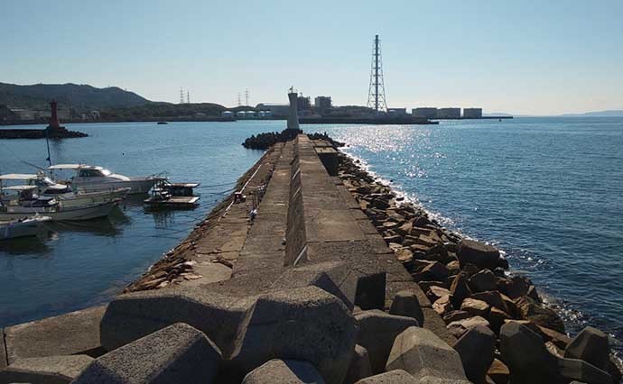 関西エリア「陸っぱりタチウオ」超入門：大阪湾おすすめ釣り場８選