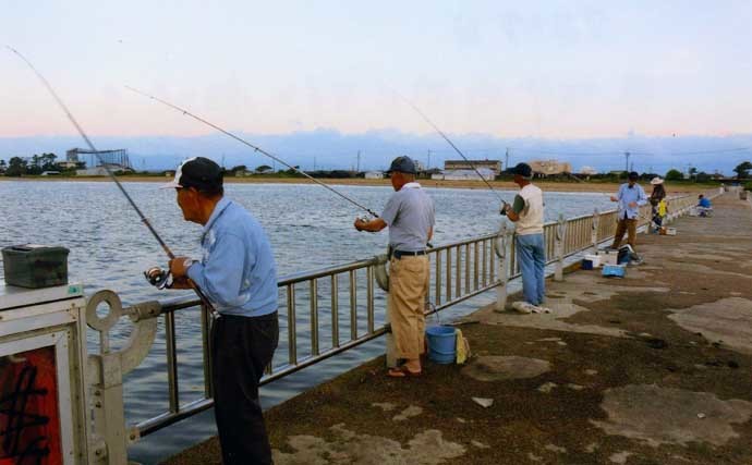 早朝の短時間サビキ釣りで４魚種キャッチ【三重・白子漁港釣り桟橋】