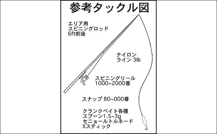 【2022年】夏のエリアトラウトを楽しもう　おすすめルアーと使い方