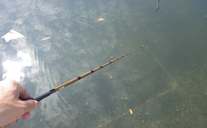 デキハゼ狙って3時間で78匹　「見釣り」で入れ食い堪能【千葉・船橋港】