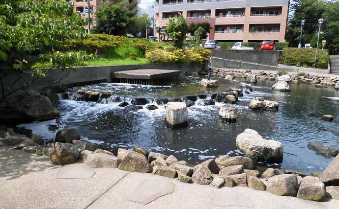 親水公園でのハゼ釣りで117尾　反転流ポイント狙い撃ちで入れ食いに