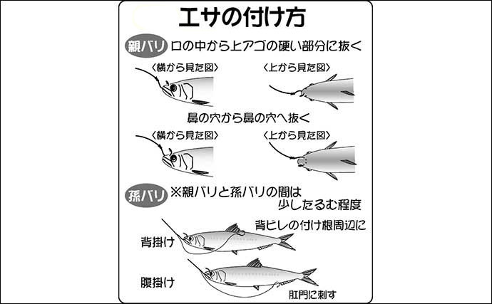 陸っぱり泳がせ釣り解説　4つの仕掛けの使い分けと釣果UPのコツ