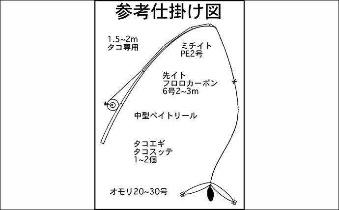 【2021伊勢湾】エギタコ釣り入門　手軽なのに中毒者続出の面白さ