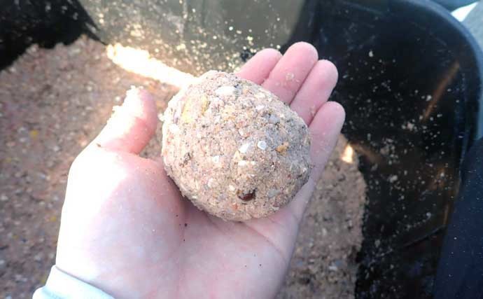 チヌ（クロダイ）釣り基礎知識　【生態・釣り方種類・仕掛け・食べ方】