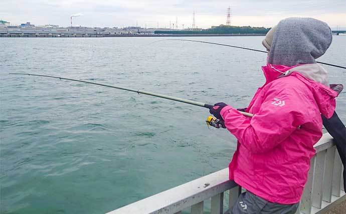 碧南釣り広場でのサビキ釣りでサッパ69匹　夜明けの時合いに入れ食い