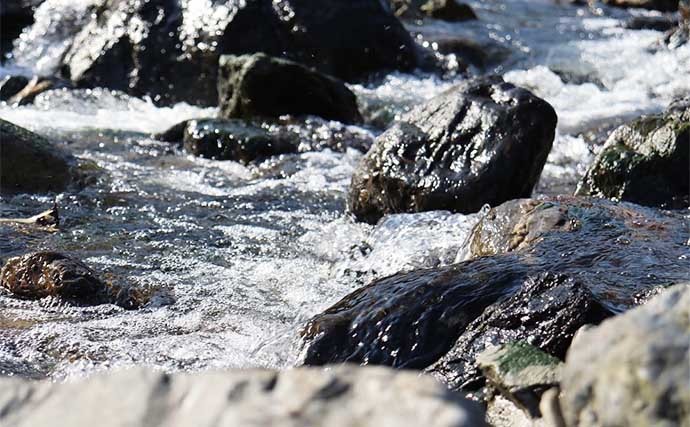 海のルアー釣り愛好家が渓流釣行でのファーストフィッシュ手中に感動