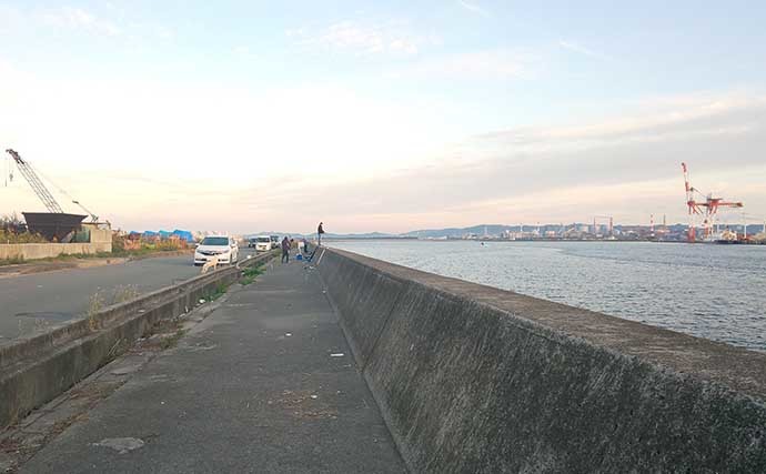 関西エリア「陸っぱりタチウオ」超入門：大阪湾おすすめ釣り場８選