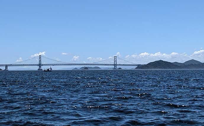 『かからし釣り』で良型アコウにハマチなど五目釣り堪能【兵庫・淡路島】