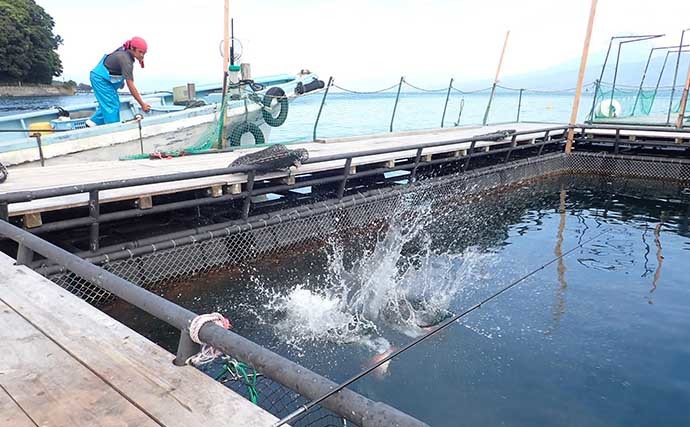 初めての「海上釣り堀」　【前日までの準備・釣行当日の流れを紹介】