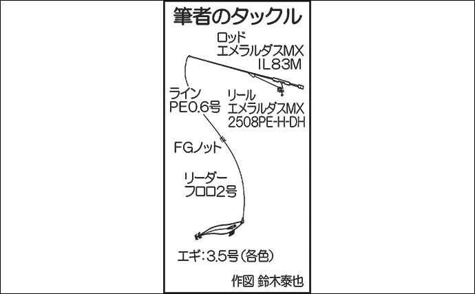 デイエギング満喫　カラーチェンジで500g頭にアオリ3尾【福岡・志賀島】