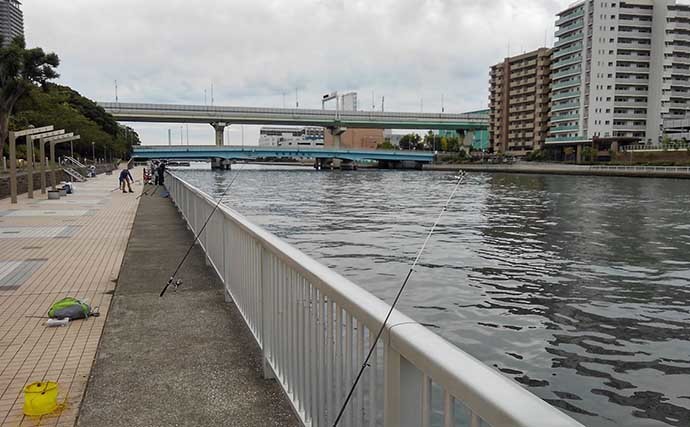 晩秋の風物詩「落ちハゼ」釣り徹底解説：東京湾エリア好釣り場3選