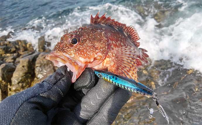 沖磯ルアー釣行でアカハタにイサキなど五目達成　ヒラスズキのバラシも