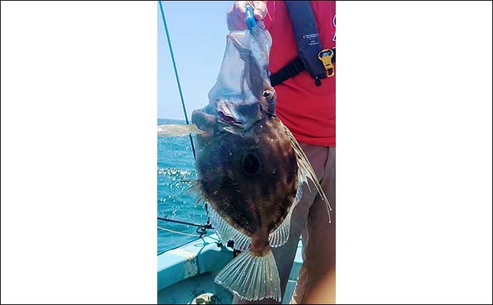 自由気ままなボート釣り堪能　釣り方こだわらずシロアマダイ手中【三重】