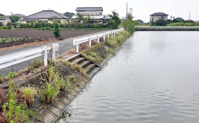 今週のヘラブナ推薦釣り場【千葉県・泉源沼】