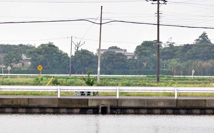 今週のヘラブナ推薦釣り場【千葉県・泉源沼】