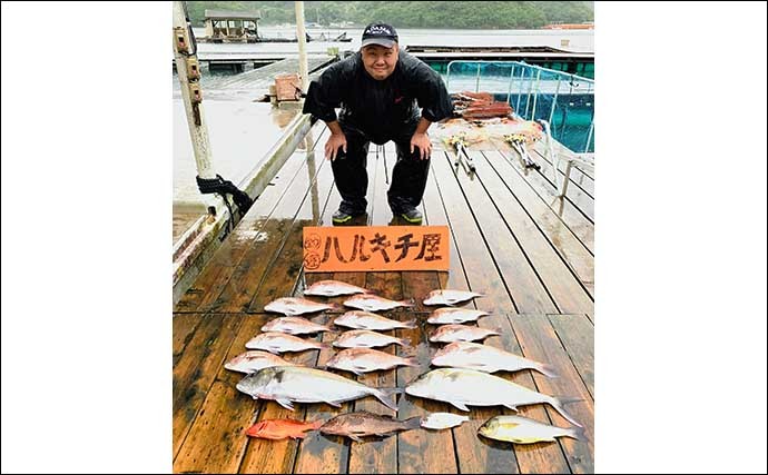 【三重】カカリ釣り&海上釣堀の最新釣果　好土産は絶品ブランドマダイ