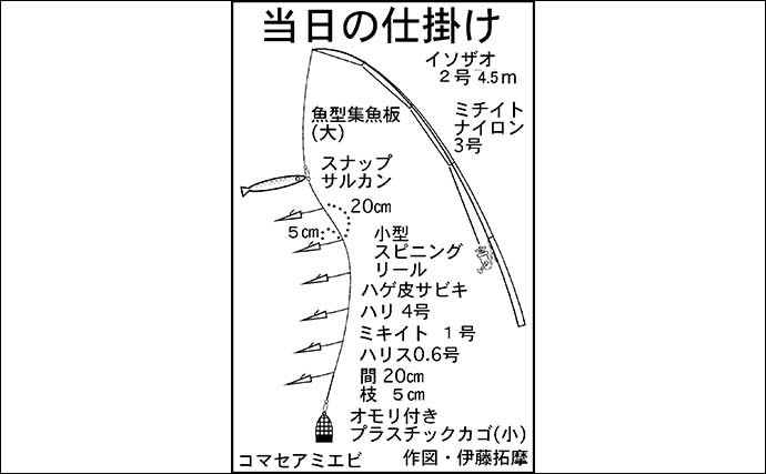 四日市港でビールのおつまみ釣り　サビキでアジ・サッパ・セイゴ手中