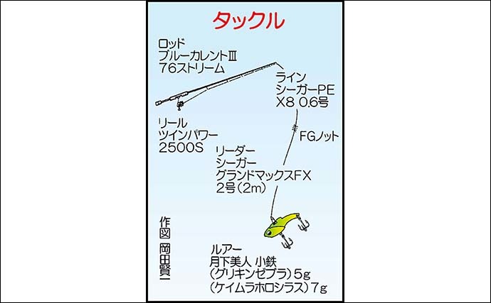 波止でのルアーカマス釣りで本命5尾　バイブレーションにヒット