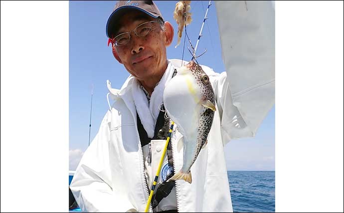 鹿島沖ショウサイフグ釣りで良型続々　好ゲストにトラフグも顔出し