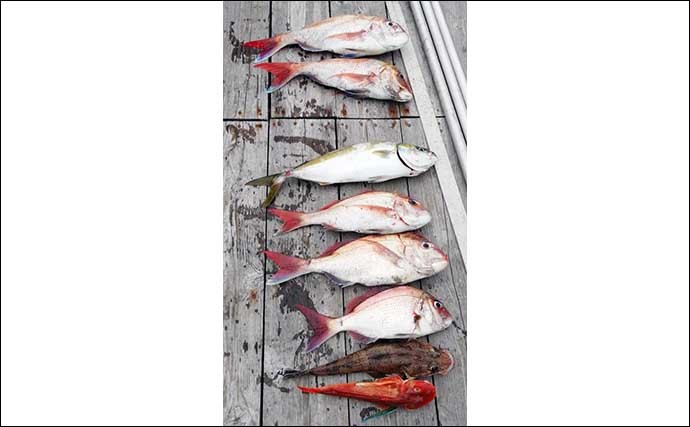 【三重】沖釣り最新釣果 多彩な魚種が狙える引本浦で良型ヒラメ浮上