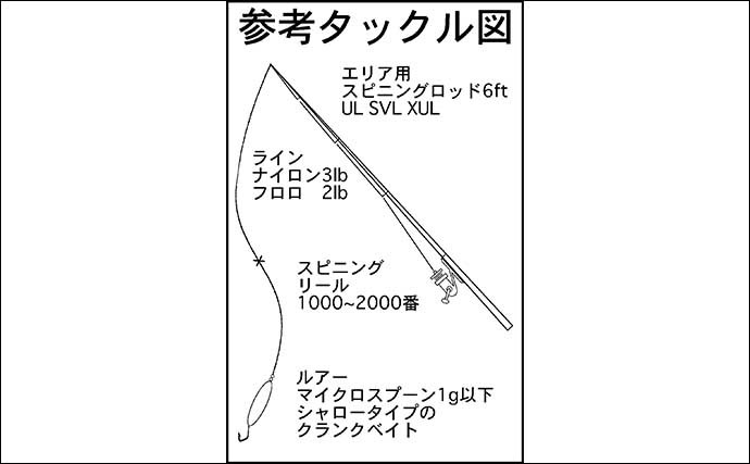 管理釣り場スタッフが教える「夏のエリアフィッシングの魅力と攻略法」