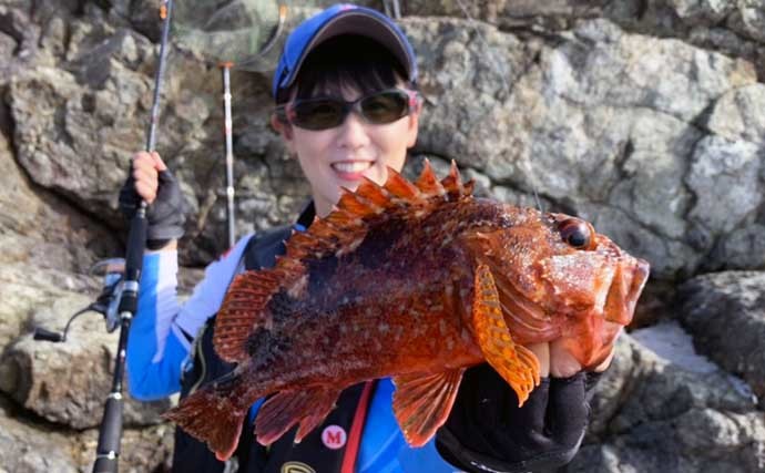 沖磯の根魚ゲーム&フカセ釣りでアカハタにクロ　釣果は豪華お寿司で堪能