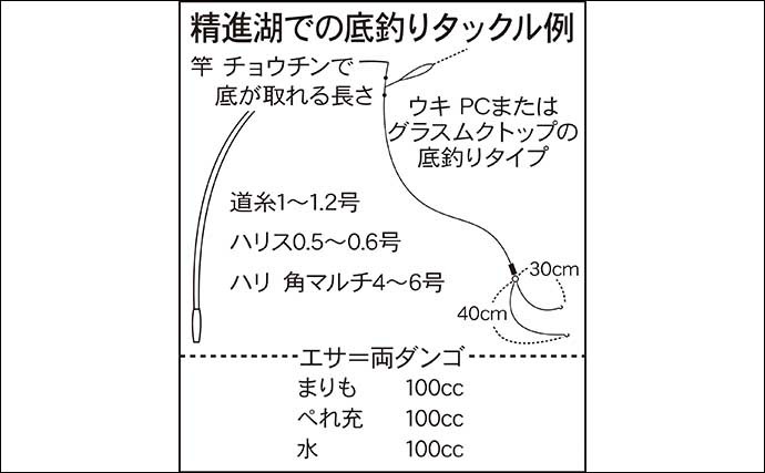 今週のヘラブナ推薦釣り場【山梨県・精進湖】