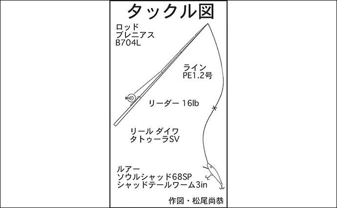 陸っぱりから36cmキジハタ手中　プラッギングでのヒットに満足【福井】