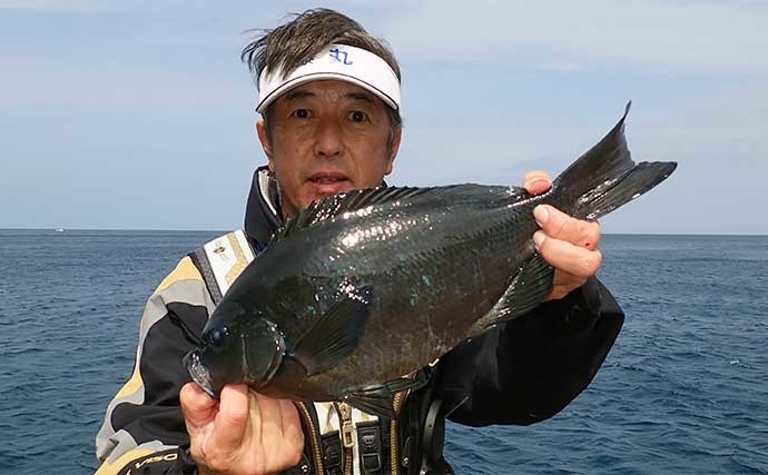 磯フカセ釣りで45cm口太クロ（メジナ）　尾長混じりで良型連打