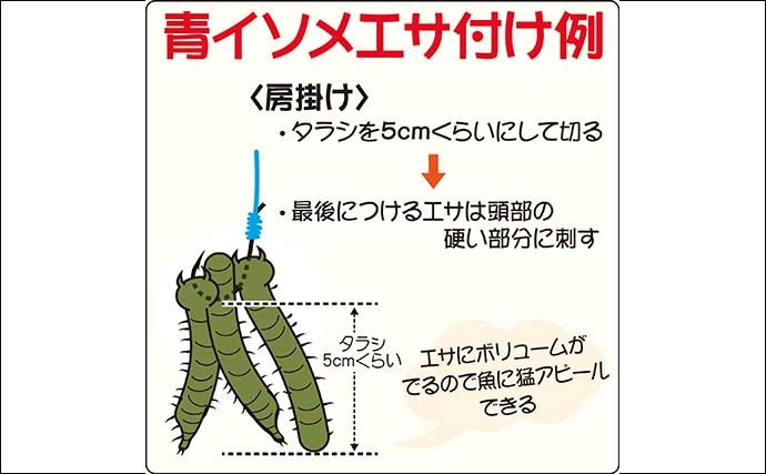 【2022年】船マコガレイ釣り入門　タックル・エサ付け・基本の釣り方