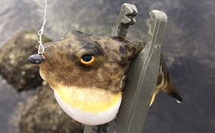 コロナ禍で釣り人増加中　初釣行前に「最低限知っておきたい」ルール