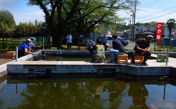 淡水釣り堀で子連れキンギョ釣り　ウキ不使用の見釣りが難しくて面白い