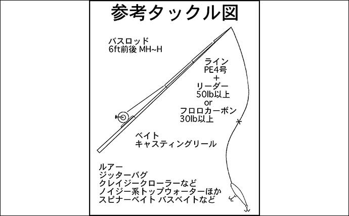 【2022年】ナマズゲーム入門 道具・ルアー・釣り方・ポイント開拓法