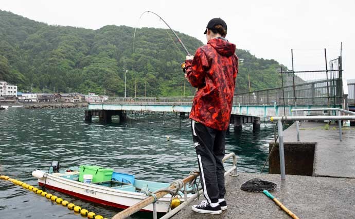 初心者でも楽しめる海洋釣り堀でマダイ17匹【福井・海釣り公園みかた】