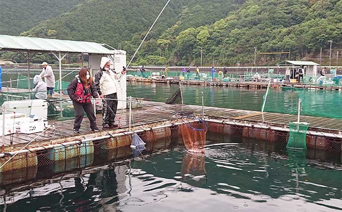 海上釣り堀でマダイ11匹にヒラマサ＆カンパチ　青物連続バラしに苦戦