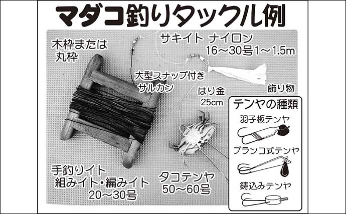 【2022年】東京湾テンヤマダコ釣り入門 タックル＆釣り方の基本を解説