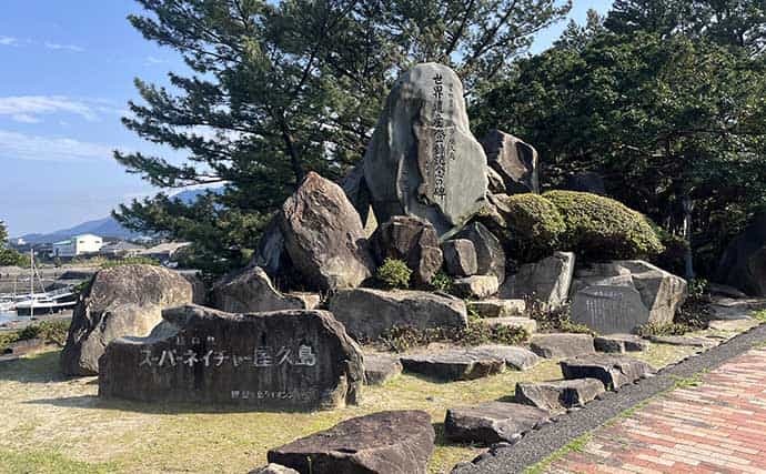 屋久島の大型アオリイカに挑戦 ジギングとエギングの融合仕掛けとは？