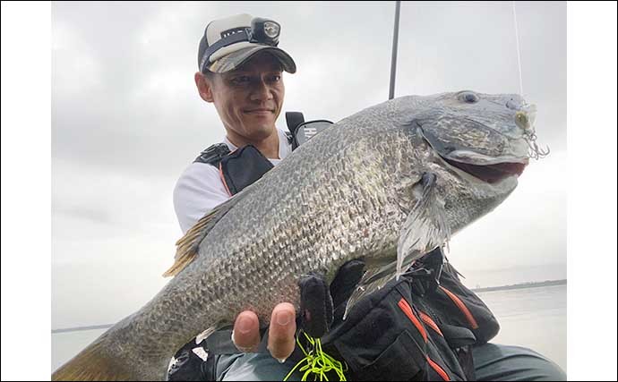 木曽川ルアー釣行で55cmチヌキャッチ　スローの巻きに好反応