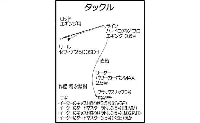 陸っぱりエギングで700g春アオリイカ2匹手中　ランガンで探し出す