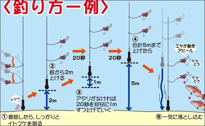 【遠州灘2021】アカムツ釣り攻略 基本タックル・釣り方・最新の釣況