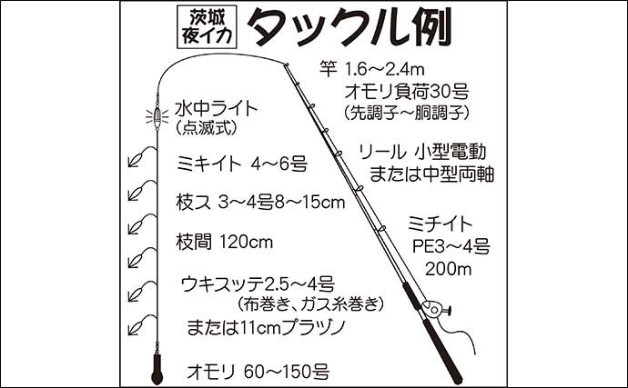 【2021茨城】夜イカ釣り入門 釣果アップのコツと最近の釣果を紹介