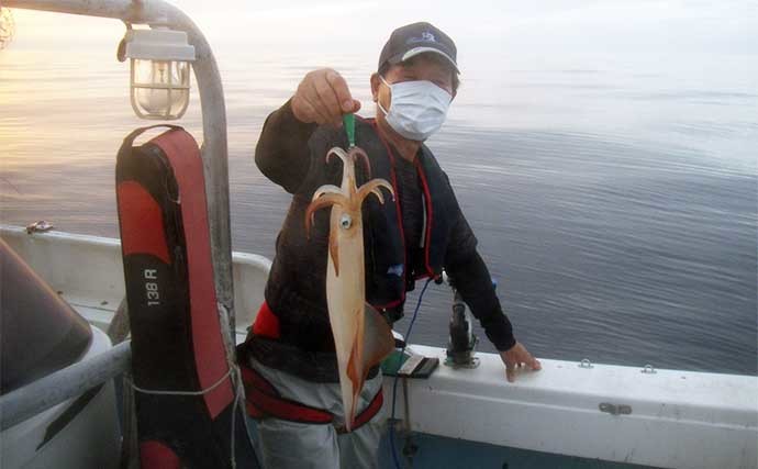 【玄界灘】夜焚きイカ最新釣果　パラソル級交じりで3ケタ超え続出