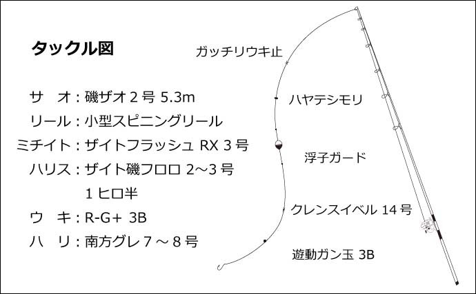 磯フカセ釣りで45cm口太クロ（メジナ）　尾長混じりで良型連打