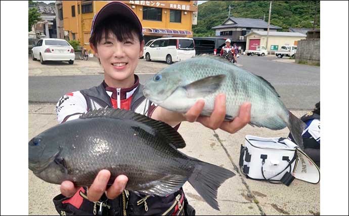 日本記録に迫る【50cmアカハタ】を釣りあげた　磯でのルアー釣りで手中