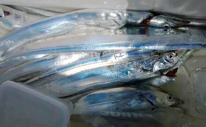 【愛知・三重】沖のエサ釣り最新釣果 イサキやカワハギ船で良型続々