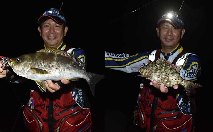 夜の地磯でモンスターハンティング　『釣りドコ』使って住処を直撃